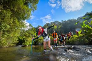 BIB: 1624, 1761, 155, 1161, 
                            <button type="button" onclick="openModal(15965432)" class="btn btn-primary btn-sm float-right btn-popup" data-toggle="modal" data-target=".modal-high-quality">
                        <i class="fas fa-shopping-cart"></i> Add to Cart
                    </button>
                                            <button type="button" onclick="isThisMe(15965432, true)" class="btn btn-success btn-sm float-right btn-popup btn-isme hidden" data-toggle="tooltip" data-placement="bottom" title="นี่คือรูปของคุณใช่ไหม คลิกที่นี่เพื่อเอาเข้าอัลบั้ม">
                        <i class="fas fa-plus"></i> Add to album
                    </button>
                    <button type="button" onclick="isThisMe(15965432, false)" class="btn btn-warning btn-sm float-right btn-popup btn-isnotme hidden">
                        <i class="fas fa-ban"></i> Remove from album
                    </button>