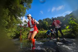 BIB: , 1196, 1134, 263, 1522
                            <button type="button" onclick="openModal(15963844)" class="btn btn-primary btn-sm float-right btn-popup" data-toggle="modal" data-target=".modal-high-quality">
                        <i class="fas fa-shopping-cart"></i> Add to Cart
                    </button>
                                            <button type="button" onclick="isThisMe(15963844, true)" class="btn btn-success btn-sm float-right btn-popup btn-isme hidden" data-toggle="tooltip" data-placement="bottom" title="นี่คือรูปของคุณใช่ไหม คลิกที่นี่เพื่อเอาเข้าอัลบั้ม">
                        <i class="fas fa-plus"></i> Add to album
                    </button>
                    <button type="button" onclick="isThisMe(15963844, false)" class="btn btn-warning btn-sm float-right btn-popup btn-isnotme hidden">
                        <i class="fas fa-ban"></i> Remove from album
                    </button>