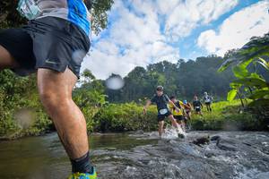 BIB: 1562, 162
                            <button type="button" onclick="openModal(15966045)" class="btn btn-primary btn-sm float-right btn-popup" data-toggle="modal" data-target=".modal-high-quality">
                        <i class="fas fa-shopping-cart"></i> Add to Cart
                    </button>
                                            <button type="button" onclick="isThisMe(15966045, true)" class="btn btn-success btn-sm float-right btn-popup btn-isme hidden" data-toggle="tooltip" data-placement="bottom" title="นี่คือรูปของคุณใช่ไหม คลิกที่นี่เพื่อเอาเข้าอัลบั้ม">
                        <i class="fas fa-plus"></i> Add to album
                    </button>
                    <button type="button" onclick="isThisMe(15966045, false)" class="btn btn-warning btn-sm float-right btn-popup btn-isnotme hidden">
                        <i class="fas fa-ban"></i> Remove from album
                    </button>