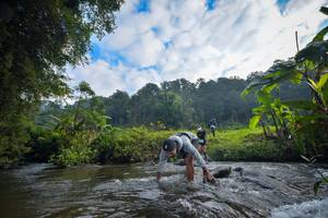 BIB: 1532
                            <button type="button" onclick="openModal(15957298)" class="btn btn-primary btn-sm float-right btn-popup" data-toggle="modal" data-target=".modal-high-quality">
                        <i class="fas fa-shopping-cart"></i> Add to Cart
                    </button>
                                            <button type="button" onclick="isThisMe(15957298, true)" class="btn btn-success btn-sm float-right btn-popup btn-isme hidden" data-toggle="tooltip" data-placement="bottom" title="นี่คือรูปของคุณใช่ไหม คลิกที่นี่เพื่อเอาเข้าอัลบั้ม">
                        <i class="fas fa-plus"></i> Add to album
                    </button>
                    <button type="button" onclick="isThisMe(15957298, false)" class="btn btn-warning btn-sm float-right btn-popup btn-isnotme hidden">
                        <i class="fas fa-ban"></i> Remove from album
                    </button>