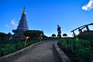 BIB: 
                            <button type="button" onclick="openModal(15970113)" class="btn btn-primary btn-sm float-right btn-popup" data-toggle="modal" data-target=".modal-high-quality">
                        <i class="fas fa-shopping-cart"></i> Add to Cart
                    </button>
                                            <button type="button" onclick="isThisMe(15970113, true)" class="btn btn-success btn-sm float-right btn-popup btn-isme hidden" data-toggle="tooltip" data-placement="bottom" title="นี่คือรูปของคุณใช่ไหม คลิกที่นี่เพื่อเอาเข้าอัลบั้ม">
                        <i class="fas fa-plus"></i> Add to album
                    </button>
                    <button type="button" onclick="isThisMe(15970113, false)" class="btn btn-warning btn-sm float-right btn-popup btn-isnotme hidden">
                        <i class="fas fa-ban"></i> Remove from album
                    </button>