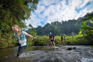 BIB: 1777, 160, 1967, 1326, 
                            <button type="button" onclick="openModal(15965924)" class="btn btn-primary btn-sm float-right btn-popup" data-toggle="modal" data-target=".modal-high-quality">
                        <i class="fas fa-shopping-cart"></i> Add to Cart
                    </button>
                                            <button type="button" onclick="isThisMe(15965924, true)" class="btn btn-success btn-sm float-right btn-popup btn-isme hidden" data-toggle="tooltip" data-placement="bottom" title="นี่คือรูปของคุณใช่ไหม คลิกที่นี่เพื่อเอาเข้าอัลบั้ม">
                        <i class="fas fa-plus"></i> Add to album
                    </button>
                    <button type="button" onclick="isThisMe(15965924, false)" class="btn btn-warning btn-sm float-right btn-popup btn-isnotme hidden">
                        <i class="fas fa-ban"></i> Remove from album
                    </button>