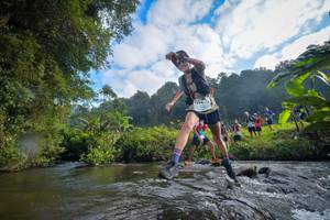 BIB: 1554, 1213, 1519
                            <button type="button" onclick="openModal(15966016)" class="btn btn-primary btn-sm float-right btn-popup" data-toggle="modal" data-target=".modal-high-quality">
                        <i class="fas fa-shopping-cart"></i> Add to Cart
                    </button>
                                            <button type="button" onclick="isThisMe(15966016, true)" class="btn btn-success btn-sm float-right btn-popup btn-isme hidden" data-toggle="tooltip" data-placement="bottom" title="นี่คือรูปของคุณใช่ไหม คลิกที่นี่เพื่อเอาเข้าอัลบั้ม">
                        <i class="fas fa-plus"></i> Add to album
                    </button>
                    <button type="button" onclick="isThisMe(15966016, false)" class="btn btn-warning btn-sm float-right btn-popup btn-isnotme hidden">
                        <i class="fas fa-ban"></i> Remove from album
                    </button>