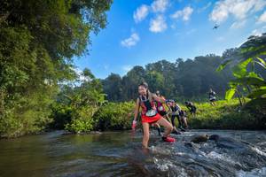 BIB: 1432, 
                            <button type="button" onclick="openModal(15960051)" class="btn btn-primary btn-sm float-right btn-popup" data-toggle="modal" data-target=".modal-high-quality">
                        <i class="fas fa-shopping-cart"></i> Add to Cart
                    </button>
                                            <button type="button" onclick="isThisMe(15960051, true)" class="btn btn-success btn-sm float-right btn-popup btn-isme hidden" data-toggle="tooltip" data-placement="bottom" title="นี่คือรูปของคุณใช่ไหม คลิกที่นี่เพื่อเอาเข้าอัลบั้ม">
                        <i class="fas fa-plus"></i> Add to album
                    </button>
                    <button type="button" onclick="isThisMe(15960051, false)" class="btn btn-warning btn-sm float-right btn-popup btn-isnotme hidden">
                        <i class="fas fa-ban"></i> Remove from album
                    </button>