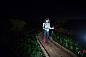 BIB: 
                            <button type="button" onclick="openModal(15971216)" class="btn btn-primary btn-sm float-right btn-popup" data-toggle="modal" data-target=".modal-high-quality">
                        <i class="fas fa-shopping-cart"></i> Add to Cart
                    </button>
                                            <button type="button" onclick="isThisMe(15971216, true)" class="btn btn-success btn-sm float-right btn-popup btn-isme hidden" data-toggle="tooltip" data-placement="bottom" title="นี่คือรูปของคุณใช่ไหม คลิกที่นี่เพื่อเอาเข้าอัลบั้ม">
                        <i class="fas fa-plus"></i> Add to album
                    </button>
                    <button type="button" onclick="isThisMe(15971216, false)" class="btn btn-warning btn-sm float-right btn-popup btn-isnotme hidden">
                        <i class="fas fa-ban"></i> Remove from album
                    </button>