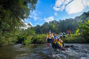 BIB: 1624, 1772, 1350, 11261
                            <button type="button" onclick="openModal(15965325)" class="btn btn-primary btn-sm float-right btn-popup" data-toggle="modal" data-target=".modal-high-quality">
                        <i class="fas fa-shopping-cart"></i> Add to Cart
                    </button>
                                            <button type="button" onclick="isThisMe(15965325, true)" class="btn btn-success btn-sm float-right btn-popup btn-isme hidden" data-toggle="tooltip" data-placement="bottom" title="นี่คือรูปของคุณใช่ไหม คลิกที่นี่เพื่อเอาเข้าอัลบั้ม">
                        <i class="fas fa-plus"></i> Add to album
                    </button>
                    <button type="button" onclick="isThisMe(15965325, false)" class="btn btn-warning btn-sm float-right btn-popup btn-isnotme hidden">
                        <i class="fas fa-ban"></i> Remove from album
                    </button>