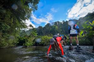 BIB: 1717
                            <button type="button" onclick="openModal(15965176)" class="btn btn-primary btn-sm float-right btn-popup" data-toggle="modal" data-target=".modal-high-quality">
                        <i class="fas fa-shopping-cart"></i> Add to Cart
                    </button>
                                            <button type="button" onclick="isThisMe(15965176, true)" class="btn btn-success btn-sm float-right btn-popup btn-isme hidden" data-toggle="tooltip" data-placement="bottom" title="นี่คือรูปของคุณใช่ไหม คลิกที่นี่เพื่อเอาเข้าอัลบั้ม">
                        <i class="fas fa-plus"></i> Add to album
                    </button>
                    <button type="button" onclick="isThisMe(15965176, false)" class="btn btn-warning btn-sm float-right btn-popup btn-isnotme hidden">
                        <i class="fas fa-ban"></i> Remove from album
                    </button>