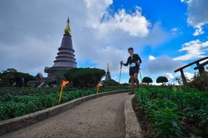 BIB: 
                            <button type="button" onclick="openModal(15969689)" class="btn btn-primary btn-sm float-right btn-popup" data-toggle="modal" data-target=".modal-high-quality">
                        <i class="fas fa-shopping-cart"></i> Add to Cart
                    </button>
                                            <button type="button" onclick="isThisMe(15969689, true)" class="btn btn-success btn-sm float-right btn-popup btn-isme hidden" data-toggle="tooltip" data-placement="bottom" title="นี่คือรูปของคุณใช่ไหม คลิกที่นี่เพื่อเอาเข้าอัลบั้ม">
                        <i class="fas fa-plus"></i> Add to album
                    </button>
                    <button type="button" onclick="isThisMe(15969689, false)" class="btn btn-warning btn-sm float-right btn-popup btn-isnotme hidden">
                        <i class="fas fa-ban"></i> Remove from album
                    </button>