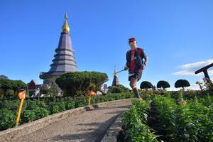 BIB: 
                            <button type="button" onclick="openModal(15969900)" class="btn btn-primary btn-sm float-right btn-popup" data-toggle="modal" data-target=".modal-high-quality">
                        <i class="fas fa-shopping-cart"></i> Add to Cart
                    </button>
                                            <button type="button" onclick="isThisMe(15969900, true)" class="btn btn-success btn-sm float-right btn-popup btn-isme hidden" data-toggle="tooltip" data-placement="bottom" title="นี่คือรูปของคุณใช่ไหม คลิกที่นี่เพื่อเอาเข้าอัลบั้ม">
                        <i class="fas fa-plus"></i> Add to album
                    </button>
                    <button type="button" onclick="isThisMe(15969900, false)" class="btn btn-warning btn-sm float-right btn-popup btn-isnotme hidden">
                        <i class="fas fa-ban"></i> Remove from album
                    </button>