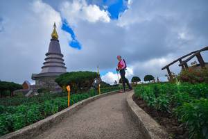 BIB: 
                            <button type="button" onclick="openModal(15969336)" class="btn btn-primary btn-sm float-right btn-popup" data-toggle="modal" data-target=".modal-high-quality">
                        <i class="fas fa-shopping-cart"></i> Add to Cart
                    </button>
                                            <button type="button" onclick="isThisMe(15969336, true)" class="btn btn-success btn-sm float-right btn-popup btn-isme hidden" data-toggle="tooltip" data-placement="bottom" title="นี่คือรูปของคุณใช่ไหม คลิกที่นี่เพื่อเอาเข้าอัลบั้ม">
                        <i class="fas fa-plus"></i> Add to album
                    </button>
                    <button type="button" onclick="isThisMe(15969336, false)" class="btn btn-warning btn-sm float-right btn-popup btn-isnotme hidden">
                        <i class="fas fa-ban"></i> Remove from album
                    </button>