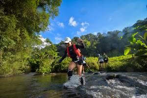 BIB: , 1259, 1294
                            <button type="button" onclick="openModal(15963336)" class="btn btn-primary btn-sm float-right btn-popup" data-toggle="modal" data-target=".modal-high-quality">
                        <i class="fas fa-shopping-cart"></i> Add to Cart
                    </button>
                                            <button type="button" onclick="isThisMe(15963336, true)" class="btn btn-success btn-sm float-right btn-popup btn-isme hidden" data-toggle="tooltip" data-placement="bottom" title="นี่คือรูปของคุณใช่ไหม คลิกที่นี่เพื่อเอาเข้าอัลบั้ม">
                        <i class="fas fa-plus"></i> Add to album
                    </button>
                    <button type="button" onclick="isThisMe(15963336, false)" class="btn btn-warning btn-sm float-right btn-popup btn-isnotme hidden">
                        <i class="fas fa-ban"></i> Remove from album
                    </button>