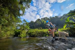 BIB: 7169, 113, 1723
                            <button type="button" onclick="openModal(15964699)" class="btn btn-primary btn-sm float-right btn-popup" data-toggle="modal" data-target=".modal-high-quality">
                        <i class="fas fa-shopping-cart"></i> Add to Cart
                    </button>
                                            <button type="button" onclick="isThisMe(15964699, true)" class="btn btn-success btn-sm float-right btn-popup btn-isme hidden" data-toggle="tooltip" data-placement="bottom" title="นี่คือรูปของคุณใช่ไหม คลิกที่นี่เพื่อเอาเข้าอัลบั้ม">
                        <i class="fas fa-plus"></i> Add to album
                    </button>
                    <button type="button" onclick="isThisMe(15964699, false)" class="btn btn-warning btn-sm float-right btn-popup btn-isnotme hidden">
                        <i class="fas fa-ban"></i> Remove from album
                    </button>