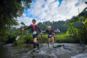 BIB: , 319, 1052
                            <button type="button" onclick="openModal(15957242)" class="btn btn-primary btn-sm float-right btn-popup" data-toggle="modal" data-target=".modal-high-quality">
                        <i class="fas fa-shopping-cart"></i> Add to Cart
                    </button>
                                            <button type="button" onclick="isThisMe(15957242, true)" class="btn btn-success btn-sm float-right btn-popup btn-isme hidden" data-toggle="tooltip" data-placement="bottom" title="นี่คือรูปของคุณใช่ไหม คลิกที่นี่เพื่อเอาเข้าอัลบั้ม">
                        <i class="fas fa-plus"></i> Add to album
                    </button>
                    <button type="button" onclick="isThisMe(15957242, false)" class="btn btn-warning btn-sm float-right btn-popup btn-isnotme hidden">
                        <i class="fas fa-ban"></i> Remove from album
                    </button>