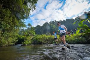 BIB: 1195, 1018, 
                            <button type="button" onclick="openModal(15965999)" class="btn btn-primary btn-sm float-right btn-popup" data-toggle="modal" data-target=".modal-high-quality">
                        <i class="fas fa-shopping-cart"></i> Add to Cart
                    </button>
                                            <button type="button" onclick="isThisMe(15965999, true)" class="btn btn-success btn-sm float-right btn-popup btn-isme hidden" data-toggle="tooltip" data-placement="bottom" title="นี่คือรูปของคุณใช่ไหม คลิกที่นี่เพื่อเอาเข้าอัลบั้ม">
                        <i class="fas fa-plus"></i> Add to album
                    </button>
                    <button type="button" onclick="isThisMe(15965999, false)" class="btn btn-warning btn-sm float-right btn-popup btn-isnotme hidden">
                        <i class="fas fa-ban"></i> Remove from album
                    </button>