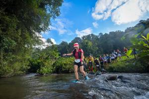 BIB: 1624, 1772, 1625, 1126, 1190
                            <button type="button" onclick="openModal(15965308)" class="btn btn-primary btn-sm float-right btn-popup" data-toggle="modal" data-target=".modal-high-quality">
                        <i class="fas fa-shopping-cart"></i> Add to Cart
                    </button>
                                            <button type="button" onclick="isThisMe(15965308, true)" class="btn btn-success btn-sm float-right btn-popup btn-isme hidden" data-toggle="tooltip" data-placement="bottom" title="นี่คือรูปของคุณใช่ไหม คลิกที่นี่เพื่อเอาเข้าอัลบั้ม">
                        <i class="fas fa-plus"></i> Add to album
                    </button>
                    <button type="button" onclick="isThisMe(15965308, false)" class="btn btn-warning btn-sm float-right btn-popup btn-isnotme hidden">
                        <i class="fas fa-ban"></i> Remove from album
                    </button>