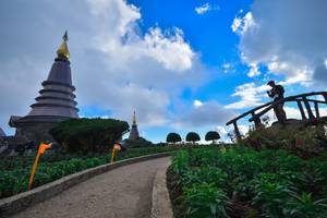 BIB: 
                            <button type="button" onclick="openModal(15969686)" class="btn btn-primary btn-sm float-right btn-popup" data-toggle="modal" data-target=".modal-high-quality">
                        <i class="fas fa-shopping-cart"></i> Add to Cart
                    </button>
                                            <button type="button" onclick="isThisMe(15969686, true)" class="btn btn-success btn-sm float-right btn-popup btn-isme hidden" data-toggle="tooltip" data-placement="bottom" title="นี่คือรูปของคุณใช่ไหม คลิกที่นี่เพื่อเอาเข้าอัลบั้ม">
                        <i class="fas fa-plus"></i> Add to album
                    </button>
                    <button type="button" onclick="isThisMe(15969686, false)" class="btn btn-warning btn-sm float-right btn-popup btn-isnotme hidden">
                        <i class="fas fa-ban"></i> Remove from album
                    </button>