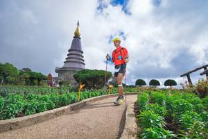 BIB: 
                            <button type="button" onclick="openModal(15969094)" class="btn btn-primary btn-sm float-right btn-popup" data-toggle="modal" data-target=".modal-high-quality">
                        <i class="fas fa-shopping-cart"></i> Add to Cart
                    </button>
                                            <button type="button" onclick="isThisMe(15969094, true)" class="btn btn-success btn-sm float-right btn-popup btn-isme hidden" data-toggle="tooltip" data-placement="bottom" title="นี่คือรูปของคุณใช่ไหม คลิกที่นี่เพื่อเอาเข้าอัลบั้ม">
                        <i class="fas fa-plus"></i> Add to album
                    </button>
                    <button type="button" onclick="isThisMe(15969094, false)" class="btn btn-warning btn-sm float-right btn-popup btn-isnotme hidden">
                        <i class="fas fa-ban"></i> Remove from album
                    </button>