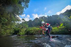 BIB: 
                            <button type="button" onclick="openModal(15964971)" class="btn btn-primary btn-sm float-right btn-popup" data-toggle="modal" data-target=".modal-high-quality">
                        <i class="fas fa-shopping-cart"></i> Add to Cart
                    </button>
                                            <button type="button" onclick="isThisMe(15964971, true)" class="btn btn-success btn-sm float-right btn-popup btn-isme hidden" data-toggle="tooltip" data-placement="bottom" title="นี่คือรูปของคุณใช่ไหม คลิกที่นี่เพื่อเอาเข้าอัลบั้ม">
                        <i class="fas fa-plus"></i> Add to album
                    </button>
                    <button type="button" onclick="isThisMe(15964971, false)" class="btn btn-warning btn-sm float-right btn-popup btn-isnotme hidden">
                        <i class="fas fa-ban"></i> Remove from album
                    </button>