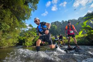 BIB: 1432, 1646
                            <button type="button" onclick="openModal(15960069)" class="btn btn-primary btn-sm float-right btn-popup" data-toggle="modal" data-target=".modal-high-quality">
                        <i class="fas fa-shopping-cart"></i> Add to Cart
                    </button>
                                            <button type="button" onclick="isThisMe(15960069, true)" class="btn btn-success btn-sm float-right btn-popup btn-isme hidden" data-toggle="tooltip" data-placement="bottom" title="นี่คือรูปของคุณใช่ไหม คลิกที่นี่เพื่อเอาเข้าอัลบั้ม">
                        <i class="fas fa-plus"></i> Add to album
                    </button>
                    <button type="button" onclick="isThisMe(15960069, false)" class="btn btn-warning btn-sm float-right btn-popup btn-isnotme hidden">
                        <i class="fas fa-ban"></i> Remove from album
                    </button>