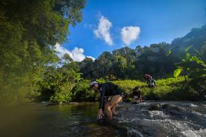 BIB: 1446
                            <button type="button" onclick="openModal(15963700)" class="btn btn-primary btn-sm float-right btn-popup" data-toggle="modal" data-target=".modal-high-quality">
                        <i class="fas fa-shopping-cart"></i> Add to Cart
                    </button>
                                            <button type="button" onclick="isThisMe(15963700, true)" class="btn btn-success btn-sm float-right btn-popup btn-isme hidden" data-toggle="tooltip" data-placement="bottom" title="นี่คือรูปของคุณใช่ไหม คลิกที่นี่เพื่อเอาเข้าอัลบั้ม">
                        <i class="fas fa-plus"></i> Add to album
                    </button>
                    <button type="button" onclick="isThisMe(15963700, false)" class="btn btn-warning btn-sm float-right btn-popup btn-isnotme hidden">
                        <i class="fas fa-ban"></i> Remove from album
                    </button>