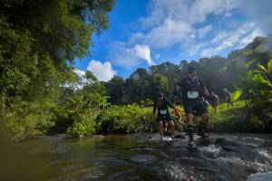 BIB: 1421, 1201
                            <button type="button" onclick="openModal(15963964)" class="btn btn-primary btn-sm float-right btn-popup" data-toggle="modal" data-target=".modal-high-quality">
                        <i class="fas fa-shopping-cart"></i> Add to Cart
                    </button>
                                            <button type="button" onclick="isThisMe(15963964, true)" class="btn btn-success btn-sm float-right btn-popup btn-isme hidden" data-toggle="tooltip" data-placement="bottom" title="นี่คือรูปของคุณใช่ไหม คลิกที่นี่เพื่อเอาเข้าอัลบั้ม">
                        <i class="fas fa-plus"></i> Add to album
                    </button>
                    <button type="button" onclick="isThisMe(15963964, false)" class="btn btn-warning btn-sm float-right btn-popup btn-isnotme hidden">
                        <i class="fas fa-ban"></i> Remove from album
                    </button>