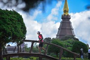 BIB: 
                            <button type="button" onclick="openModal(15969050)" class="btn btn-primary btn-sm float-right btn-popup" data-toggle="modal" data-target=".modal-high-quality">
                        <i class="fas fa-shopping-cart"></i> Add to Cart
                    </button>
                                            <button type="button" onclick="isThisMe(15969050, true)" class="btn btn-success btn-sm float-right btn-popup btn-isme hidden" data-toggle="tooltip" data-placement="bottom" title="นี่คือรูปของคุณใช่ไหม คลิกที่นี่เพื่อเอาเข้าอัลบั้ม">
                        <i class="fas fa-plus"></i> Add to album
                    </button>
                    <button type="button" onclick="isThisMe(15969050, false)" class="btn btn-warning btn-sm float-right btn-popup btn-isnotme hidden">
                        <i class="fas fa-ban"></i> Remove from album
                    </button>