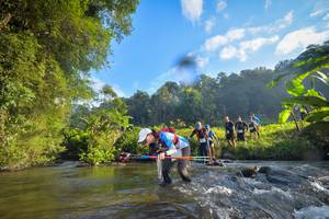 BIB: 1400
                            <button type="button" onclick="openModal(15959984)" class="btn btn-primary btn-sm float-right btn-popup" data-toggle="modal" data-target=".modal-high-quality">
                        <i class="fas fa-shopping-cart"></i> Add to Cart
                    </button>
                                            <button type="button" onclick="isThisMe(15959984, true)" class="btn btn-success btn-sm float-right btn-popup btn-isme hidden" data-toggle="tooltip" data-placement="bottom" title="นี่คือรูปของคุณใช่ไหม คลิกที่นี่เพื่อเอาเข้าอัลบั้ม">
                        <i class="fas fa-plus"></i> Add to album
                    </button>
                    <button type="button" onclick="isThisMe(15959984, false)" class="btn btn-warning btn-sm float-right btn-popup btn-isnotme hidden">
                        <i class="fas fa-ban"></i> Remove from album
                    </button>