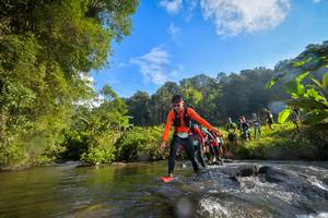 BIB: 1585, 1122, 1161, 579, 1384
                            <button type="button" onclick="openModal(15962744)" class="btn btn-primary btn-sm float-right btn-popup" data-toggle="modal" data-target=".modal-high-quality">
                        <i class="fas fa-shopping-cart"></i> Add to Cart
                    </button>
                                            <button type="button" onclick="isThisMe(15962744, true)" class="btn btn-success btn-sm float-right btn-popup btn-isme hidden" data-toggle="tooltip" data-placement="bottom" title="นี่คือรูปของคุณใช่ไหม คลิกที่นี่เพื่อเอาเข้าอัลบั้ม">
                        <i class="fas fa-plus"></i> Add to album
                    </button>
                    <button type="button" onclick="isThisMe(15962744, false)" class="btn btn-warning btn-sm float-right btn-popup btn-isnotme hidden">
                        <i class="fas fa-ban"></i> Remove from album
                    </button>