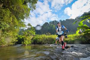 BIB: , 1566, 1770
                            <button type="button" onclick="openModal(15966074)" class="btn btn-primary btn-sm float-right btn-popup" data-toggle="modal" data-target=".modal-high-quality">
                        <i class="fas fa-shopping-cart"></i> Add to Cart
                    </button>
                                            <button type="button" onclick="isThisMe(15966074, true)" class="btn btn-success btn-sm float-right btn-popup btn-isme hidden" data-toggle="tooltip" data-placement="bottom" title="นี่คือรูปของคุณใช่ไหม คลิกที่นี่เพื่อเอาเข้าอัลบั้ม">
                        <i class="fas fa-plus"></i> Add to album
                    </button>
                    <button type="button" onclick="isThisMe(15966074, false)" class="btn btn-warning btn-sm float-right btn-popup btn-isnotme hidden">
                        <i class="fas fa-ban"></i> Remove from album
                    </button>