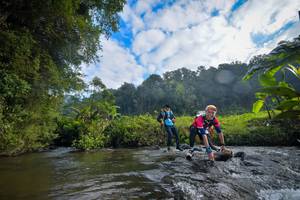 BIB: 
                            <button type="button" onclick="openModal(15965911)" class="btn btn-primary btn-sm float-right btn-popup" data-toggle="modal" data-target=".modal-high-quality">
                        <i class="fas fa-shopping-cart"></i> Add to Cart
                    </button>
                                            <button type="button" onclick="isThisMe(15965911, true)" class="btn btn-success btn-sm float-right btn-popup btn-isme hidden" data-toggle="tooltip" data-placement="bottom" title="นี่คือรูปของคุณใช่ไหม คลิกที่นี่เพื่อเอาเข้าอัลบั้ม">
                        <i class="fas fa-plus"></i> Add to album
                    </button>
                    <button type="button" onclick="isThisMe(15965911, false)" class="btn btn-warning btn-sm float-right btn-popup btn-isnotme hidden">
                        <i class="fas fa-ban"></i> Remove from album
                    </button>