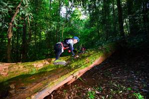 BIB: 302
                            <button type="button" onclick="openModal(15914271)" class="btn btn-primary btn-sm float-right btn-popup" data-toggle="modal" data-target=".modal-high-quality">
                        <i class="fas fa-shopping-cart"></i> Add to Cart
                    </button>
                                            <button type="button" onclick="isThisMe(15914271, true)" class="btn btn-success btn-sm float-right btn-popup btn-isme hidden" data-toggle="tooltip" data-placement="bottom" title="นี่คือรูปของคุณใช่ไหม คลิกที่นี่เพื่อเอาเข้าอัลบั้ม">
                        <i class="fas fa-plus"></i> Add to album
                    </button>
                    <button type="button" onclick="isThisMe(15914271, false)" class="btn btn-warning btn-sm float-right btn-popup btn-isnotme hidden">
                        <i class="fas fa-ban"></i> Remove from album
                    </button>