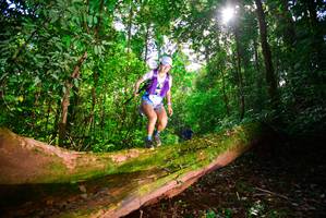 BIB: 
                            <button type="button" onclick="openModal(15914152)" class="btn btn-primary btn-sm float-right btn-popup" data-toggle="modal" data-target=".modal-high-quality">
                        <i class="fas fa-shopping-cart"></i> Add to Cart
                    </button>
                                            <button type="button" onclick="isThisMe(15914152, true)" class="btn btn-success btn-sm float-right btn-popup btn-isme hidden" data-toggle="tooltip" data-placement="bottom" title="นี่คือรูปของคุณใช่ไหม คลิกที่นี่เพื่อเอาเข้าอัลบั้ม">
                        <i class="fas fa-plus"></i> Add to album
                    </button>
                    <button type="button" onclick="isThisMe(15914152, false)" class="btn btn-warning btn-sm float-right btn-popup btn-isnotme hidden">
                        <i class="fas fa-ban"></i> Remove from album
                    </button>