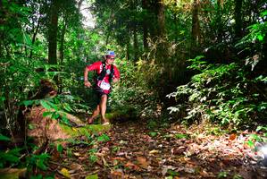 BIB: 3066
                            <button type="button" onclick="openModal(15914125)" class="btn btn-primary btn-sm float-right btn-popup" data-toggle="modal" data-target=".modal-high-quality">
                        <i class="fas fa-shopping-cart"></i> Add to Cart
                    </button>
                                            <button type="button" onclick="isThisMe(15914125, true)" class="btn btn-success btn-sm float-right btn-popup btn-isme hidden" data-toggle="tooltip" data-placement="bottom" title="นี่คือรูปของคุณใช่ไหม คลิกที่นี่เพื่อเอาเข้าอัลบั้ม">
                        <i class="fas fa-plus"></i> Add to album
                    </button>
                    <button type="button" onclick="isThisMe(15914125, false)" class="btn btn-warning btn-sm float-right btn-popup btn-isnotme hidden">
                        <i class="fas fa-ban"></i> Remove from album
                    </button>