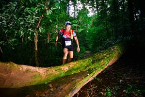 BIB: 3131
                            <button type="button" onclick="openModal(15914160)" class="btn btn-primary btn-sm float-right btn-popup" data-toggle="modal" data-target=".modal-high-quality">
                        <i class="fas fa-shopping-cart"></i> Add to Cart
                    </button>
                                            <button type="button" onclick="isThisMe(15914160, true)" class="btn btn-success btn-sm float-right btn-popup btn-isme hidden" data-toggle="tooltip" data-placement="bottom" title="นี่คือรูปของคุณใช่ไหม คลิกที่นี่เพื่อเอาเข้าอัลบั้ม">
                        <i class="fas fa-plus"></i> Add to album
                    </button>
                    <button type="button" onclick="isThisMe(15914160, false)" class="btn btn-warning btn-sm float-right btn-popup btn-isnotme hidden">
                        <i class="fas fa-ban"></i> Remove from album
                    </button>