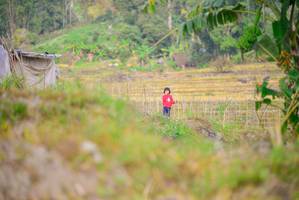 BIB: 
                            <button type="button" onclick="openModal(16046553)" class="btn btn-primary btn-sm float-right btn-popup" data-toggle="modal" data-target=".modal-high-quality">
                        <i class="fas fa-shopping-cart"></i> Add to Cart
                    </button>
                                            <button type="button" onclick="isThisMe(16046553, true)" class="btn btn-success btn-sm float-right btn-popup btn-isme hidden" data-toggle="tooltip" data-placement="bottom" title="นี่คือรูปของคุณใช่ไหม คลิกที่นี่เพื่อเอาเข้าอัลบั้ม">
                        <i class="fas fa-plus"></i> Add to album
                    </button>
                    <button type="button" onclick="isThisMe(16046553, false)" class="btn btn-warning btn-sm float-right btn-popup btn-isnotme hidden">
                        <i class="fas fa-ban"></i> Remove from album
                    </button>