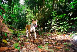 BIB: 
                            <button type="button" onclick="openModal(15914128)" class="btn btn-primary btn-sm float-right btn-popup" data-toggle="modal" data-target=".modal-high-quality">
                        <i class="fas fa-shopping-cart"></i> Add to Cart
                    </button>
                                            <button type="button" onclick="isThisMe(15914128, true)" class="btn btn-success btn-sm float-right btn-popup btn-isme hidden" data-toggle="tooltip" data-placement="bottom" title="นี่คือรูปของคุณใช่ไหม คลิกที่นี่เพื่อเอาเข้าอัลบั้ม">
                        <i class="fas fa-plus"></i> Add to album
                    </button>
                    <button type="button" onclick="isThisMe(15914128, false)" class="btn btn-warning btn-sm float-right btn-popup btn-isnotme hidden">
                        <i class="fas fa-ban"></i> Remove from album
                    </button>