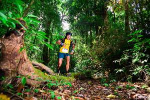 BIB: 
                            <button type="button" onclick="openModal(15914127)" class="btn btn-primary btn-sm float-right btn-popup" data-toggle="modal" data-target=".modal-high-quality">
                        <i class="fas fa-shopping-cart"></i> Add to Cart
                    </button>
                                            <button type="button" onclick="isThisMe(15914127, true)" class="btn btn-success btn-sm float-right btn-popup btn-isme hidden" data-toggle="tooltip" data-placement="bottom" title="นี่คือรูปของคุณใช่ไหม คลิกที่นี่เพื่อเอาเข้าอัลบั้ม">
                        <i class="fas fa-plus"></i> Add to album
                    </button>
                    <button type="button" onclick="isThisMe(15914127, false)" class="btn btn-warning btn-sm float-right btn-popup btn-isnotme hidden">
                        <i class="fas fa-ban"></i> Remove from album
                    </button>