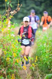 BIB: 
                            <button type="button" onclick="openModal(16043954)" class="btn btn-primary btn-sm float-right btn-popup" data-toggle="modal" data-target=".modal-high-quality">
                        <i class="fas fa-shopping-cart"></i> Add to Cart
                    </button>
                                            <button type="button" onclick="isThisMe(16043954, true)" class="btn btn-success btn-sm float-right btn-popup btn-isme hidden" data-toggle="tooltip" data-placement="bottom" title="นี่คือรูปของคุณใช่ไหม คลิกที่นี่เพื่อเอาเข้าอัลบั้ม">
                        <i class="fas fa-plus"></i> Add to album
                    </button>
                    <button type="button" onclick="isThisMe(16043954, false)" class="btn btn-warning btn-sm float-right btn-popup btn-isnotme hidden">
                        <i class="fas fa-ban"></i> Remove from album
                    </button>