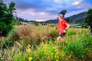 BIB: 
                            <button type="button" onclick="openModal(16050697)" class="btn btn-primary btn-sm float-right btn-popup" data-toggle="modal" data-target=".modal-high-quality">
                        <i class="fas fa-shopping-cart"></i> Add to Cart
                    </button>
                                            <button type="button" onclick="isThisMe(16050697, true)" class="btn btn-success btn-sm float-right btn-popup btn-isme hidden" data-toggle="tooltip" data-placement="bottom" title="นี่คือรูปของคุณใช่ไหม คลิกที่นี่เพื่อเอาเข้าอัลบั้ม">
                        <i class="fas fa-plus"></i> Add to album
                    </button>
                    <button type="button" onclick="isThisMe(16050697, false)" class="btn btn-warning btn-sm float-right btn-popup btn-isnotme hidden">
                        <i class="fas fa-ban"></i> Remove from album
                    </button>