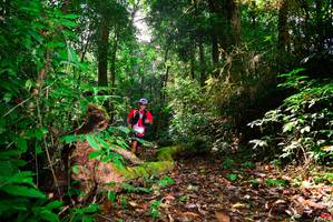 BIB: 3066
                            <button type="button" onclick="openModal(15914123)" class="btn btn-primary btn-sm float-right btn-popup" data-toggle="modal" data-target=".modal-high-quality">
                        <i class="fas fa-shopping-cart"></i> Add to Cart
                    </button>
                                            <button type="button" onclick="isThisMe(15914123, true)" class="btn btn-success btn-sm float-right btn-popup btn-isme hidden" data-toggle="tooltip" data-placement="bottom" title="นี่คือรูปของคุณใช่ไหม คลิกที่นี่เพื่อเอาเข้าอัลบั้ม">
                        <i class="fas fa-plus"></i> Add to album
                    </button>
                    <button type="button" onclick="isThisMe(15914123, false)" class="btn btn-warning btn-sm float-right btn-popup btn-isnotme hidden">
                        <i class="fas fa-ban"></i> Remove from album
                    </button>