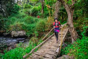 BIB: 
                            <button type="button" onclick="openModal(16051103)" class="btn btn-primary btn-sm float-right btn-popup" data-toggle="modal" data-target=".modal-high-quality">
                        <i class="fas fa-shopping-cart"></i> Add to Cart
                    </button>
                                            <button type="button" onclick="isThisMe(16051103, true)" class="btn btn-success btn-sm float-right btn-popup btn-isme hidden" data-toggle="tooltip" data-placement="bottom" title="นี่คือรูปของคุณใช่ไหม คลิกที่นี่เพื่อเอาเข้าอัลบั้ม">
                        <i class="fas fa-plus"></i> Add to album
                    </button>
                    <button type="button" onclick="isThisMe(16051103, false)" class="btn btn-warning btn-sm float-right btn-popup btn-isnotme hidden">
                        <i class="fas fa-ban"></i> Remove from album
                    </button>