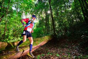 BIB: 3068
                            <button type="button" onclick="openModal(15914197)" class="btn btn-primary btn-sm float-right btn-popup" data-toggle="modal" data-target=".modal-high-quality">
                        <i class="fas fa-shopping-cart"></i> Add to Cart
                    </button>
                                            <button type="button" onclick="isThisMe(15914197, true)" class="btn btn-success btn-sm float-right btn-popup btn-isme hidden" data-toggle="tooltip" data-placement="bottom" title="นี่คือรูปของคุณใช่ไหม คลิกที่นี่เพื่อเอาเข้าอัลบั้ม">
                        <i class="fas fa-plus"></i> Add to album
                    </button>
                    <button type="button" onclick="isThisMe(15914197, false)" class="btn btn-warning btn-sm float-right btn-popup btn-isnotme hidden">
                        <i class="fas fa-ban"></i> Remove from album
                    </button>