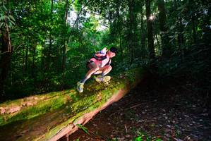 BIB: , 355
                            <button type="button" onclick="openModal(15914269)" class="btn btn-primary btn-sm float-right btn-popup" data-toggle="modal" data-target=".modal-high-quality">
                        <i class="fas fa-shopping-cart"></i> Add to Cart
                    </button>
                                            <button type="button" onclick="isThisMe(15914269, true)" class="btn btn-success btn-sm float-right btn-popup btn-isme hidden" data-toggle="tooltip" data-placement="bottom" title="นี่คือรูปของคุณใช่ไหม คลิกที่นี่เพื่อเอาเข้าอัลบั้ม">
                        <i class="fas fa-plus"></i> Add to album
                    </button>
                    <button type="button" onclick="isThisMe(15914269, false)" class="btn btn-warning btn-sm float-right btn-popup btn-isnotme hidden">
                        <i class="fas fa-ban"></i> Remove from album
                    </button>