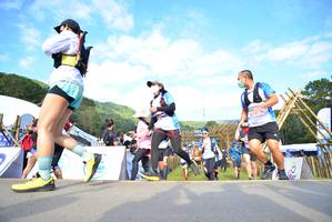 BIB: 8068, 8056, 8052
                            <button type="button" onclick="openModal(15925426)" class="btn btn-primary btn-sm float-right btn-popup" data-toggle="modal" data-target=".modal-high-quality">
                        <i class="fas fa-shopping-cart"></i> Add to Cart
                    </button>
                                            <button type="button" onclick="isThisMe(15925426, true)" class="btn btn-success btn-sm float-right btn-popup btn-isme hidden" data-toggle="tooltip" data-placement="bottom" title="นี่คือรูปของคุณใช่ไหม คลิกที่นี่เพื่อเอาเข้าอัลบั้ม">
                        <i class="fas fa-plus"></i> Add to album
                    </button>
                    <button type="button" onclick="isThisMe(15925426, false)" class="btn btn-warning btn-sm float-right btn-popup btn-isnotme hidden">
                        <i class="fas fa-ban"></i> Remove from album
                    </button>