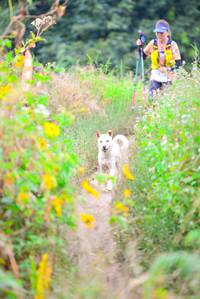 BIB: 
                            <button type="button" onclick="openModal(15937306)" class="btn btn-primary btn-sm float-right btn-popup" data-toggle="modal" data-target=".modal-high-quality">
                        <i class="fas fa-shopping-cart"></i> Add to Cart
                    </button>
                                            <button type="button" onclick="isThisMe(15937306, true)" class="btn btn-success btn-sm float-right btn-popup btn-isme hidden" data-toggle="tooltip" data-placement="bottom" title="นี่คือรูปของคุณใช่ไหม คลิกที่นี่เพื่อเอาเข้าอัลบั้ม">
                        <i class="fas fa-plus"></i> Add to album
                    </button>
                    <button type="button" onclick="isThisMe(15937306, false)" class="btn btn-warning btn-sm float-right btn-popup btn-isnotme hidden">
                        <i class="fas fa-ban"></i> Remove from album
                    </button>