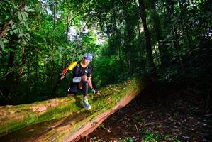 BIB: 3153, 3378
                            <button type="button" onclick="openModal(15914253)" class="btn btn-primary btn-sm float-right btn-popup" data-toggle="modal" data-target=".modal-high-quality">
                        <i class="fas fa-shopping-cart"></i> Add to Cart
                    </button>
                                            <button type="button" onclick="isThisMe(15914253, true)" class="btn btn-success btn-sm float-right btn-popup btn-isme hidden" data-toggle="tooltip" data-placement="bottom" title="นี่คือรูปของคุณใช่ไหม คลิกที่นี่เพื่อเอาเข้าอัลบั้ม">
                        <i class="fas fa-plus"></i> Add to album
                    </button>
                    <button type="button" onclick="isThisMe(15914253, false)" class="btn btn-warning btn-sm float-right btn-popup btn-isnotme hidden">
                        <i class="fas fa-ban"></i> Remove from album
                    </button>