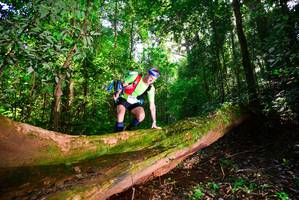 BIB: 3075
                            <button type="button" onclick="openModal(15914213)" class="btn btn-primary btn-sm float-right btn-popup" data-toggle="modal" data-target=".modal-high-quality">
                        <i class="fas fa-shopping-cart"></i> Add to Cart
                    </button>
                                            <button type="button" onclick="isThisMe(15914213, true)" class="btn btn-success btn-sm float-right btn-popup btn-isme hidden" data-toggle="tooltip" data-placement="bottom" title="นี่คือรูปของคุณใช่ไหม คลิกที่นี่เพื่อเอาเข้าอัลบั้ม">
                        <i class="fas fa-plus"></i> Add to album
                    </button>
                    <button type="button" onclick="isThisMe(15914213, false)" class="btn btn-warning btn-sm float-right btn-popup btn-isnotme hidden">
                        <i class="fas fa-ban"></i> Remove from album
                    </button>