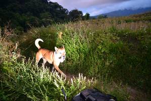 BIB: 
                            <button type="button" onclick="openModal(15923975)" class="btn btn-primary btn-sm float-right btn-popup" data-toggle="modal" data-target=".modal-high-quality">
                        <i class="fas fa-shopping-cart"></i> Add to Cart
                    </button>
                                            <button type="button" onclick="isThisMe(15923975, true)" class="btn btn-success btn-sm float-right btn-popup btn-isme hidden" data-toggle="tooltip" data-placement="bottom" title="นี่คือรูปของคุณใช่ไหม คลิกที่นี่เพื่อเอาเข้าอัลบั้ม">
                        <i class="fas fa-plus"></i> Add to album
                    </button>
                    <button type="button" onclick="isThisMe(15923975, false)" class="btn btn-warning btn-sm float-right btn-popup btn-isnotme hidden">
                        <i class="fas fa-ban"></i> Remove from album
                    </button>