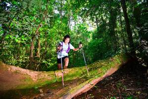 BIB: 3058
                            <button type="button" onclick="openModal(15914207)" class="btn btn-primary btn-sm float-right btn-popup" data-toggle="modal" data-target=".modal-high-quality">
                        <i class="fas fa-shopping-cart"></i> Add to Cart
                    </button>
                                            <button type="button" onclick="isThisMe(15914207, true)" class="btn btn-success btn-sm float-right btn-popup btn-isme hidden" data-toggle="tooltip" data-placement="bottom" title="นี่คือรูปของคุณใช่ไหม คลิกที่นี่เพื่อเอาเข้าอัลบั้ม">
                        <i class="fas fa-plus"></i> Add to album
                    </button>
                    <button type="button" onclick="isThisMe(15914207, false)" class="btn btn-warning btn-sm float-right btn-popup btn-isnotme hidden">
                        <i class="fas fa-ban"></i> Remove from album
                    </button>