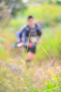 BIB: 
                            <button type="button" onclick="openModal(16046275)" class="btn btn-primary btn-sm float-right btn-popup" data-toggle="modal" data-target=".modal-high-quality">
                        <i class="fas fa-shopping-cart"></i> Add to Cart
                    </button>
                                            <button type="button" onclick="isThisMe(16046275, true)" class="btn btn-success btn-sm float-right btn-popup btn-isme hidden" data-toggle="tooltip" data-placement="bottom" title="นี่คือรูปของคุณใช่ไหม คลิกที่นี่เพื่อเอาเข้าอัลบั้ม">
                        <i class="fas fa-plus"></i> Add to album
                    </button>
                    <button type="button" onclick="isThisMe(16046275, false)" class="btn btn-warning btn-sm float-right btn-popup btn-isnotme hidden">
                        <i class="fas fa-ban"></i> Remove from album
                    </button>